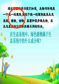 第四章绿色植物是生物圈中有机物的制造者.ppt