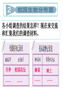 教科版科学六年级上册《校园生物分布图》PPT