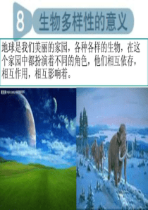 教科版科学六年级上册《生物多样性的意义》ppt-1727003131