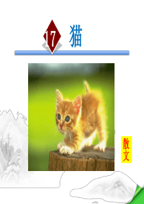 人教版七年级上册语文《猫》课件讲解