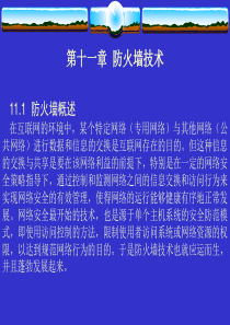 计算机网络安全技术第11章