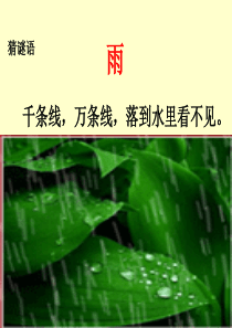 《雨点儿》课件ppt