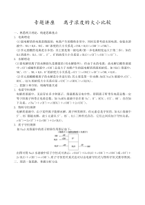 专题--离子浓度的大小比较实用方法