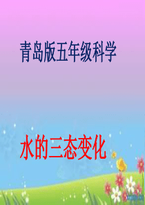 五年级科学上册课件——水的三态变化