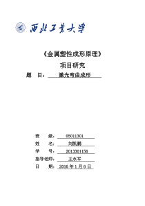 板料激光弯曲成型报告