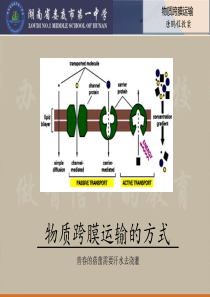 物质跨膜运输的三种方式