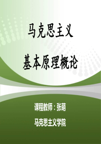 2018版马克思主义基本原理概论-第六章社会主义的发展及规律