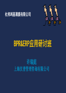 汉普BPR&ERP应用杜邦