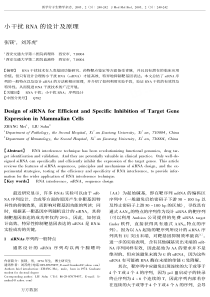 小干扰RNA的设计及原理