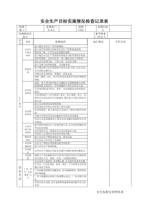 安全生产目标实施情况检查记录表