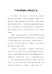 严明纪律规矩心得体会汇总