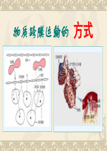 物质跨膜运输的方式.讲ppt