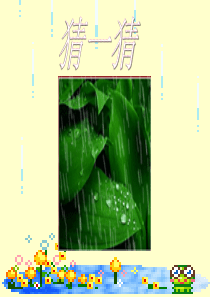 《雨点儿》课件ppt