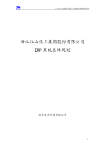 浙江江山化工股份有限公司ERP系统总体规划