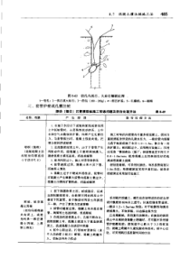 建筑地基与基础施工手册(第二版下)