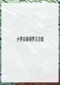 小学古诗词学习方法