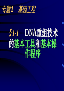 高中生物-基因工程-ppt-课件