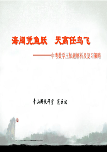 海阔凭鱼跃天高任鸟飞中考数学压轴题解析及复习策略