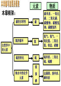 碳的多样性