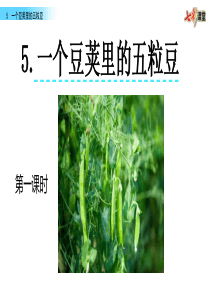 5-一个豆荚里的五粒豆