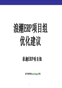 浪潮SAPERP项目组优化建议