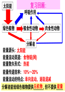 生态系统的物质循环(最新的)