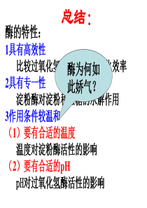 探究影响酶活性的因素实验设计