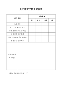 党支部班子民主评议表