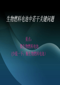 生物燃料电池真的ppt