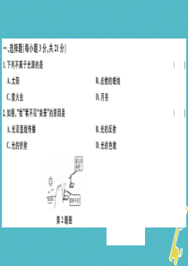 精品最新-部编新人教版八年级物理上册第4章光现象检测卷习题课件