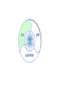 PPT图示汇总