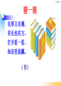 8-部编小书包(优秀课件)