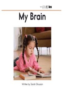 My-Brain-英语绘本