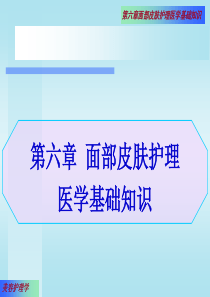 面部皮肤护理医学基础知识