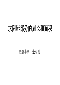 新人教版六年级上册----求阴影部分面积(圆)