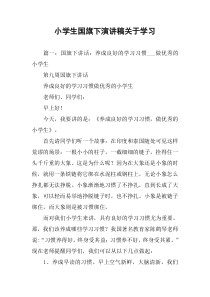 小学生国旗下演讲稿关于学习