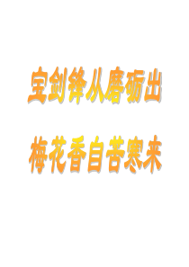 双修课：磨练意志.ppt