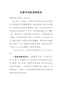 支部书记的总结发言