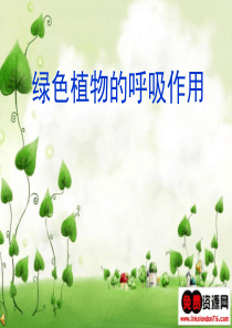 绿色植物的呼吸作用ppt