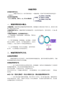 《细胞周期》——细胞生物学知识点总结