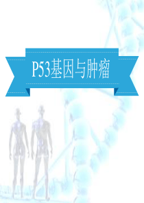 P53基因与肿瘤