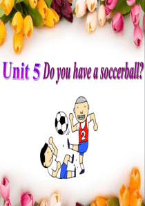 七年级英语上册课件：Unit-5-Do-you-have-a-soccer-ball？Section