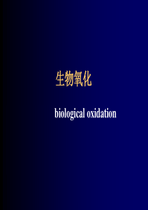 生物化学之生物氧化反应