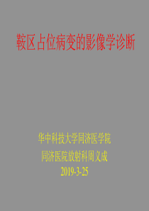 鞍区占位病变的影像学诊断-周义成-269页PPT文档