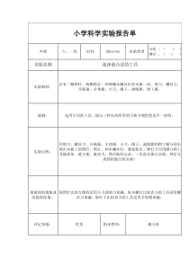 小学六年级上册科学实验报告