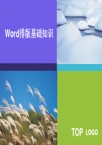 Word排版基础知识