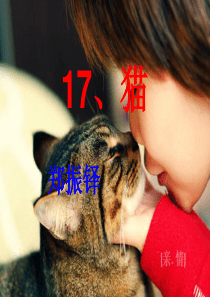 (部编)初中语文人教2011课标版七年级上册17、《猫》第二课时