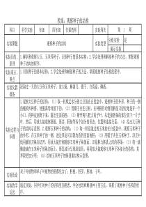 观察种子的结构实验教案