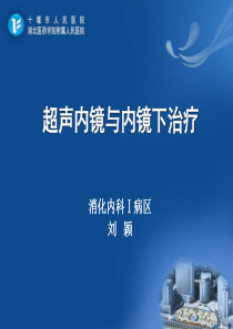 超声内镜与内镜下治疗