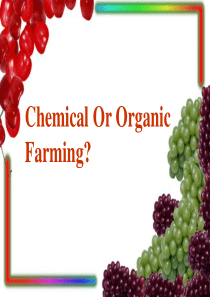 chemical-or-organic-farming-公开课课件